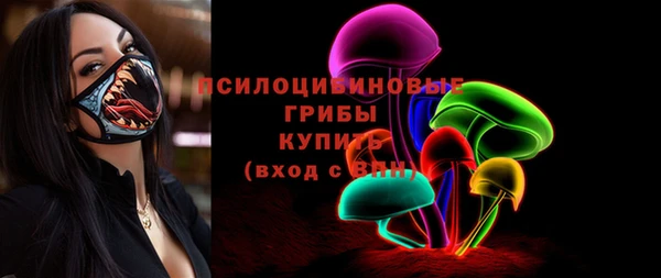 спиды Пестово