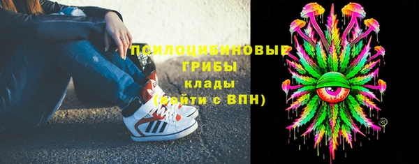 тгк Переславль-Залесский