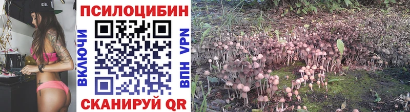 Галлюциногенные грибы MAGIC MUSHROOMS  купить закладку  Орлов 